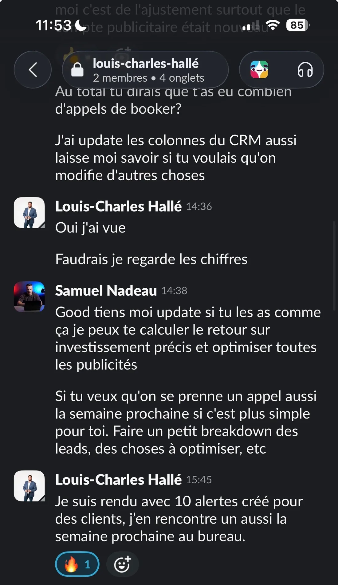 Conversation Slack avec Louis-Charles Hallé. Samuel Nadeau demande combien d'appels ont été bookés et signale avoir mis à jour les colonnes du CRM. Louis-Charles répond « Oui j'ai vue », puis « Faudrais je regarde les chiffres ». Samuel propose de calculer le retour sur investissement précis et d'optimiser les publicités, et offre un appel pour faire un breakdown des leads. Louis-Charles conclut : « Je suis rendu avec 10 alertes créé pour des clients, j'en rencontre un aussi la semaine prochaine au bureau ».